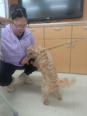 2025학년도 자유학기제 동물매개 심리재활 활동