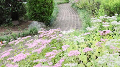 선진의 가을 분수와 산책로