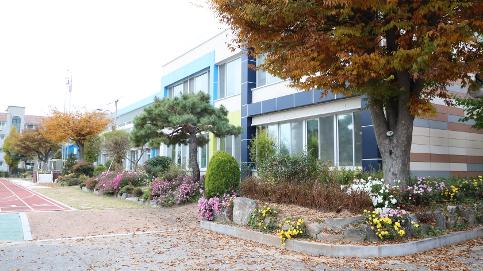 노랑, 빨강으로 단풍을 담다