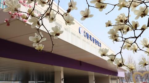 선진의 봄 알리미 꽃