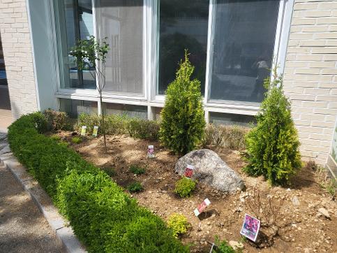 봄 맞이 화단 조성 2