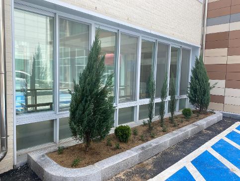 봄 맞이 화단 조성