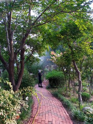 교내 수목 병충해 방제작업 실시