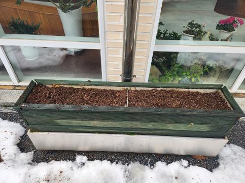 중정 화단 꽃배추 식재 작업